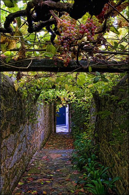 Beautiful narrow alley in Santiago de Compostela, Galicia, Spain (by Mabelle Imossi).