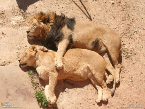 Big Spoon. little spoon.