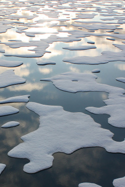 opcion:   Sea Ice Patterns (by NASA)  