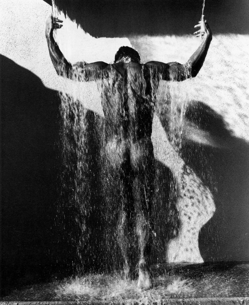 Porn photo  Herb Ritts 