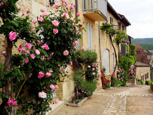 Les plus beaux villages de France, Beynac-et-Cazenac, Aquitaine (by Michele).