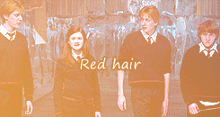  the magic begins - Favorite Wizarding Family - The Weasleys My father told me all the Weasleys have red hair, freckles, and more children than they can afford… 