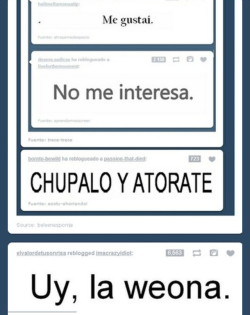 imnotevenindrugs:  Weas en el dashboard xd 