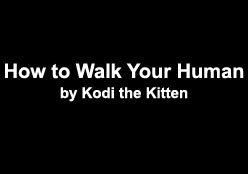 cwnerd12:  pleatedjeans:  how to walk your