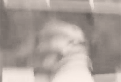 Chanyeol drawing a heart in the window and passing along to the fans