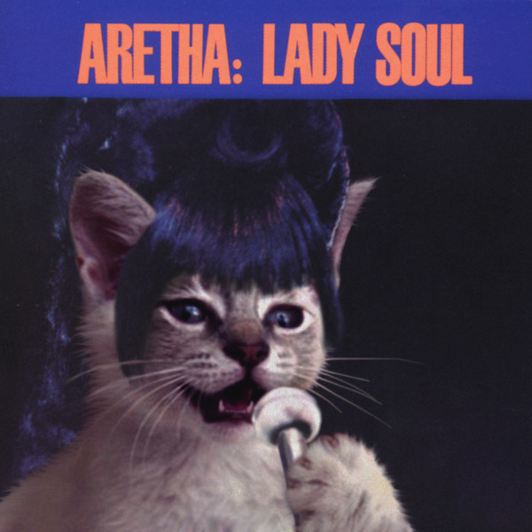 Aretha, sua gata!