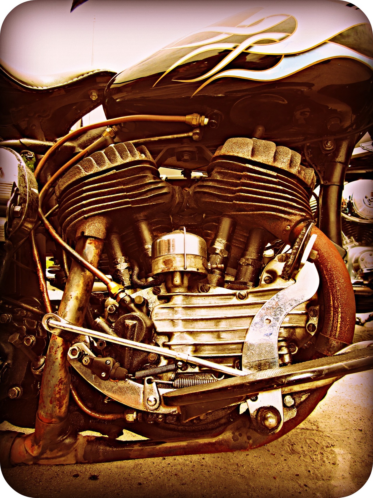 micky-lynn:  Flathead 