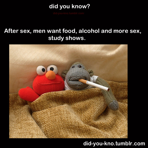 did-you-kno:  Source  Bullshit! I want silence, a massage, and sleep!