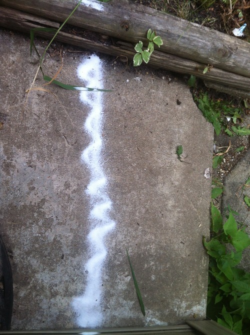 cutest-angel-in-heaven:  swede-bloggg:  pep95:  queenbradbury:  omg so yesterday i put a salt line on the pathway to our front door because i was fucking around and my brother was pretending to be a demon and today we ordered pizza and the salt line was