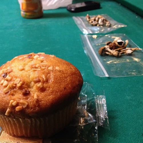 m00nside:  mentalpeace:  omfg that looks delicious  yeah so does the muffin