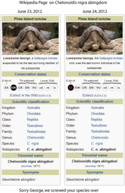 chocolatetopping:  rokshocka:  Lonesome George has passed away. He was the last of his sub-species, the Galapagos Tortoise. Sorry we failed you buddy.  Can we please have a moment of silence for Lonesome George and the fact A FRIKEN SUB-SPECIES has become