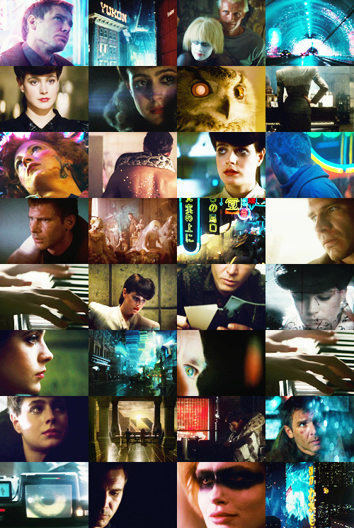 9090432-deactivated20140709:  Replicants are like any other machine - they’re either a benefit