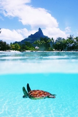 le20e8minuti:  I need it!