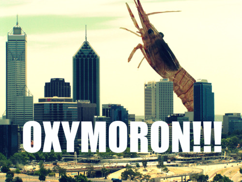 Exactly what it means: the term &ldquo;oxymoron&rdquo; comes from Ancient Greek roots &