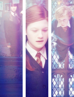  THE MAGIC BEGINS: a Harry Potter Challenge  #23 - Death Eaters, Order of the Phoenix
