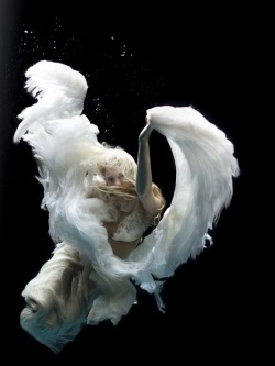 thestarcollision:  Zena Holloway  