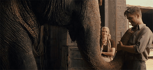 Water for Elephants