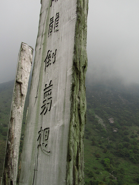 t-r-o-p-i-c-air:  Nature/Culture blog here :)  want more posts like this? check out my blog!