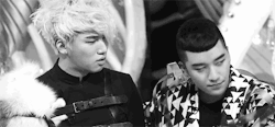 dushevka:  Daesung doesn’t approve 
