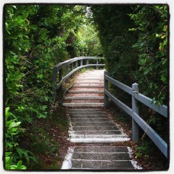 Path To The Beach :) (Taken With Instagram)