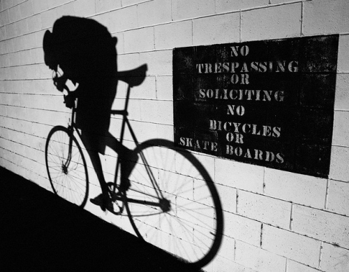 trackoflife:  fixedworldwide:  Shadow  fuck the system