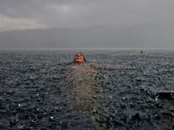 Swimming Nude In The Rain.