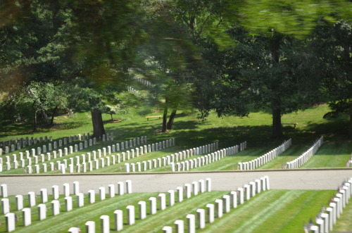 Arlington National Cemetery 