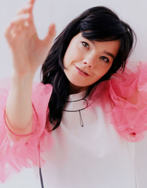 Tumblr - bjork.fr