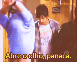 Coração de uma chameleira