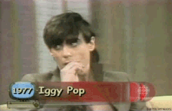 superseventies:  Iggy Pop, 1977 