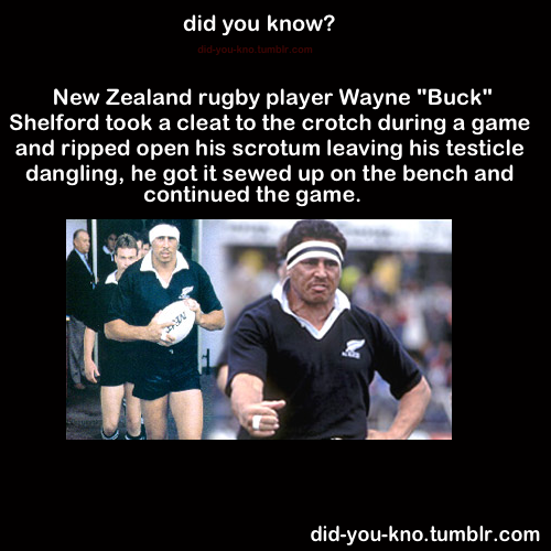 did-you-kno:  Source  Rugby is serious business!