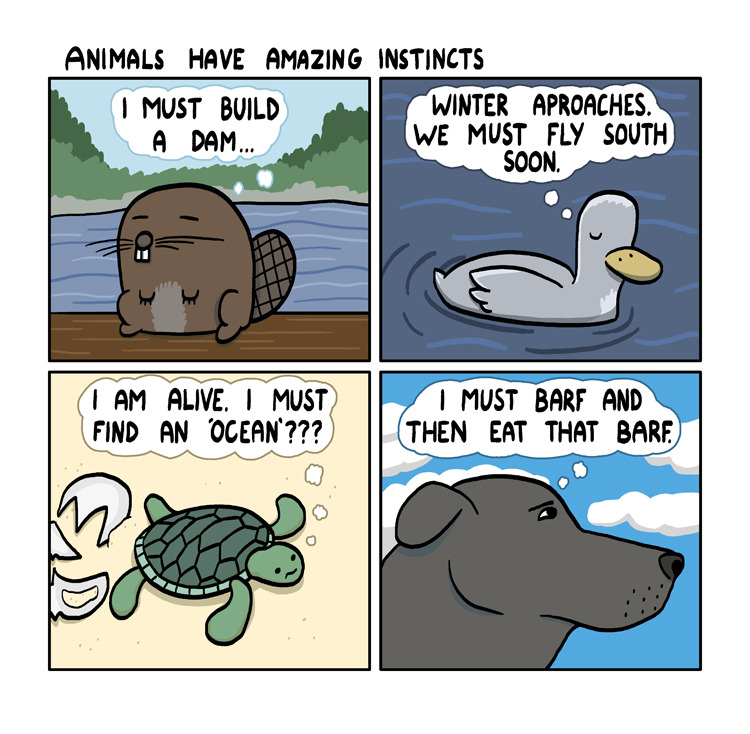 lolsofunny:  LOL 