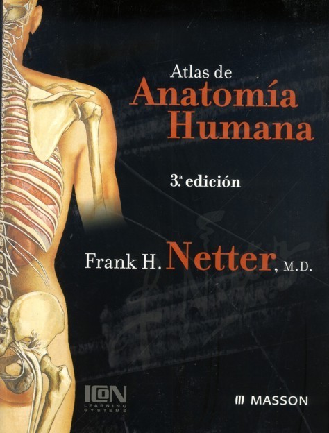 Descargar gratis atlas de anatomia humana netter en español pdf Libros De Medicina