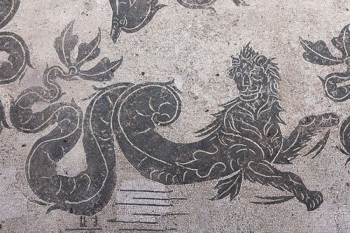 cliothemuseofhistory:Sea-monster, detail of a mosaic representing Poseidon. Room 4 of the Baths of N