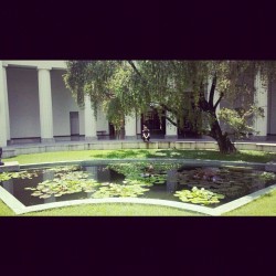 Thegoandie:  Museo De Bellas Arte #Caracas #Venezuela  (Tomada Con Instagram)