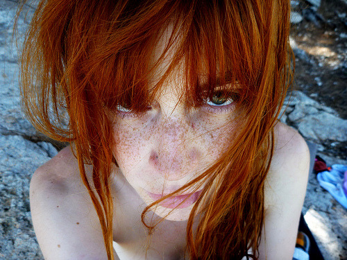 http://redbush.tumblr.com/post/25944883877