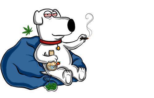 bluntgirl:  love brian <3 