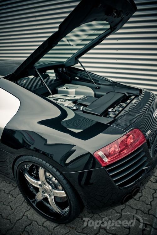 allautonomous:  2012 Audi R8 Collection Sport By Graf Weckerle 