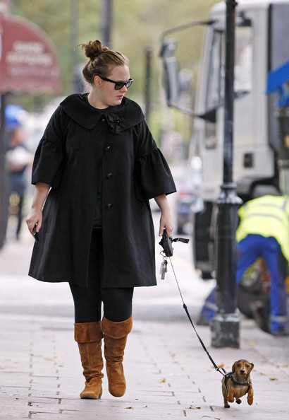 roguefindings:  Adele & Louie. *awh* 