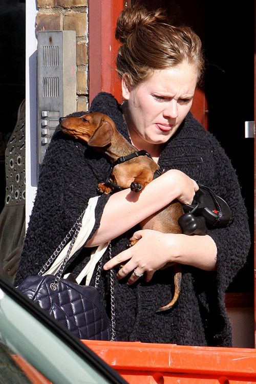 roguefindings:  Adele & Louie. *awh* 