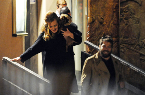 roguefindings:  Adele & Louie. *awh* 