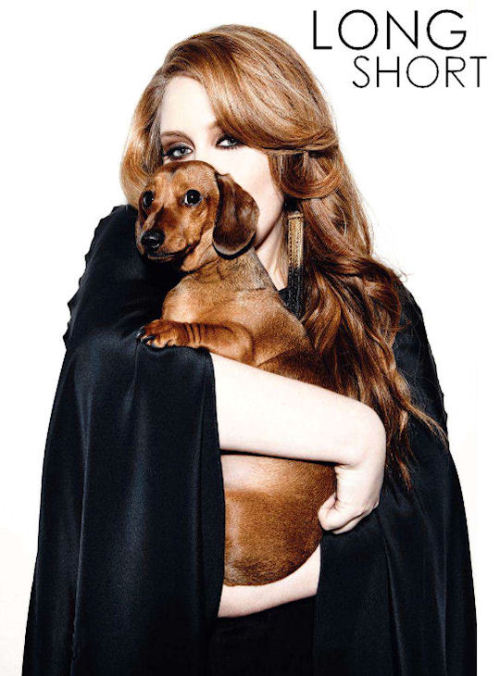 roguefindings:  Adele & Louie. *awh* 