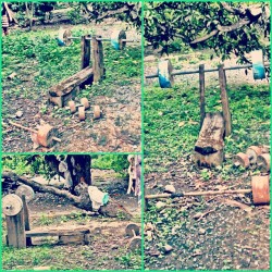 Got To Work Out, #Islandstyle Lmfao💪. #Workout #Fitness #Benchpress #Philippines