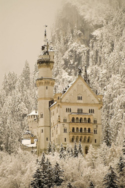 afoolsmarrow:  Neuschwanstein castle, Germany