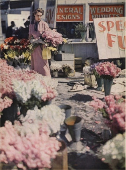 lesfoudres:  For Vogue, June 1948 (by dovima_is_devine_II)