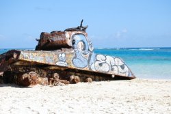 ejfreeland:  Looked at what washed ashore… Flamenco Beach, Culebra, Puerto Rico.