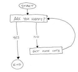 catasters:  What is the secret to happiness? 