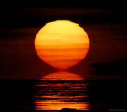 afro-dominicano:   Sinking Sun and Green Flash Layers of different temperature in the atmosphere creates a distorted image of the sun when it’s near the horizon. As the sun’s image sinks through these layers it is miraged into fantastical ever changing