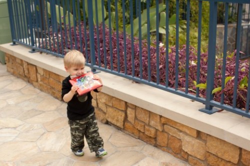 frozen-water-droplet: “On Disneyland bride Kristie’s wedding day, a tiny tot approached 