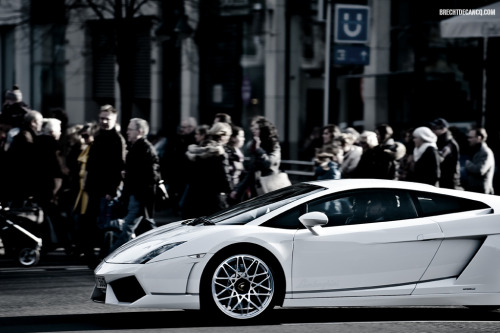 exclusive-pleasure:  (By Brecht Decancq) 